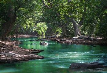水生態(tài)修復